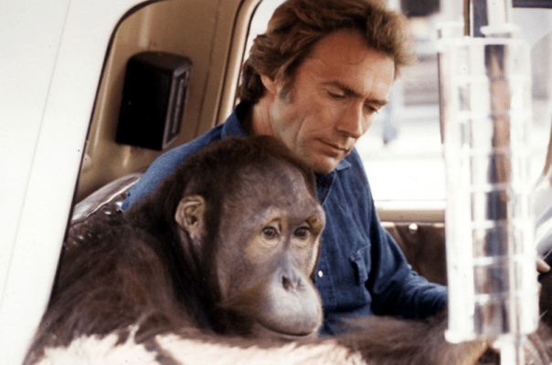 screenshot-2016-10-20-16-30-24